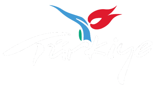 Go Türkiye Logo